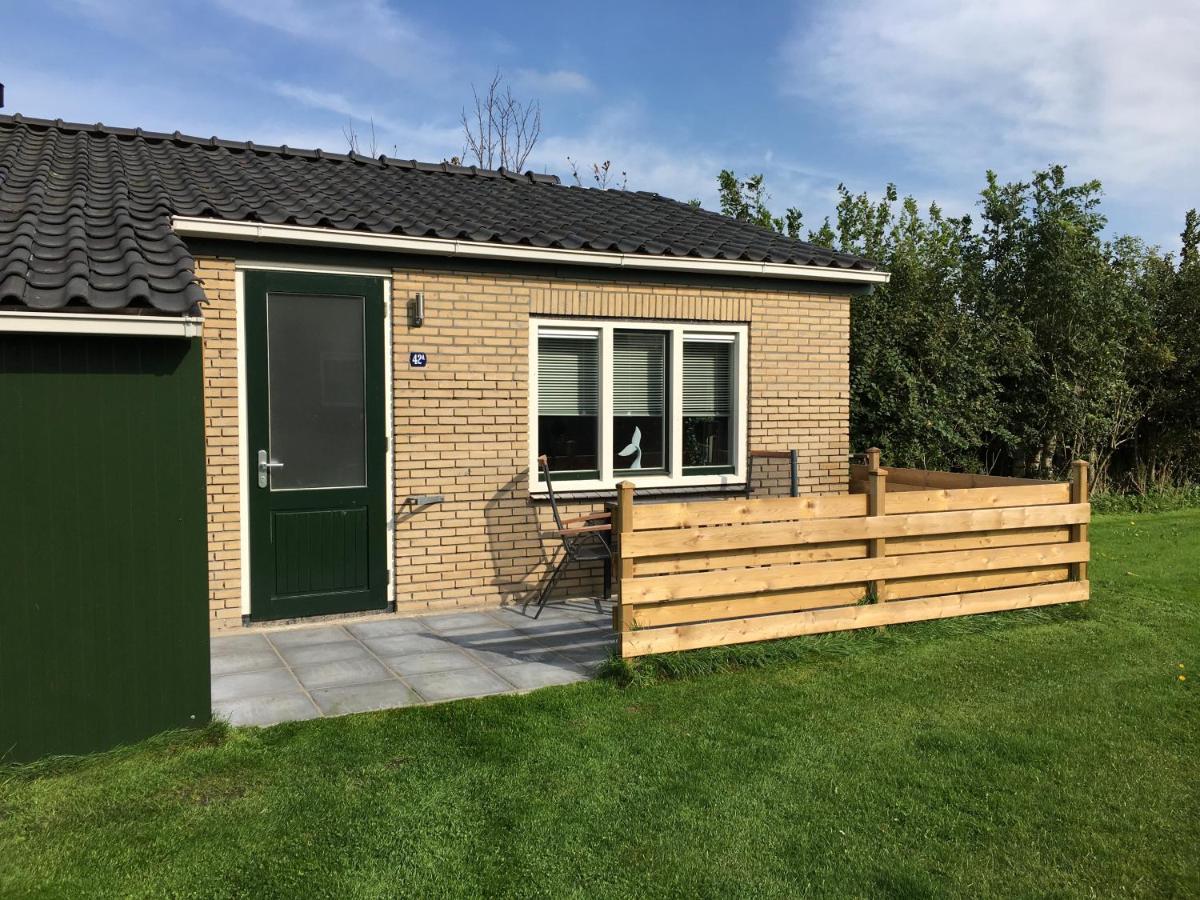 Bungalow Op Bedrijf Met Melkkoeien 더콕스도르프 외부 사진